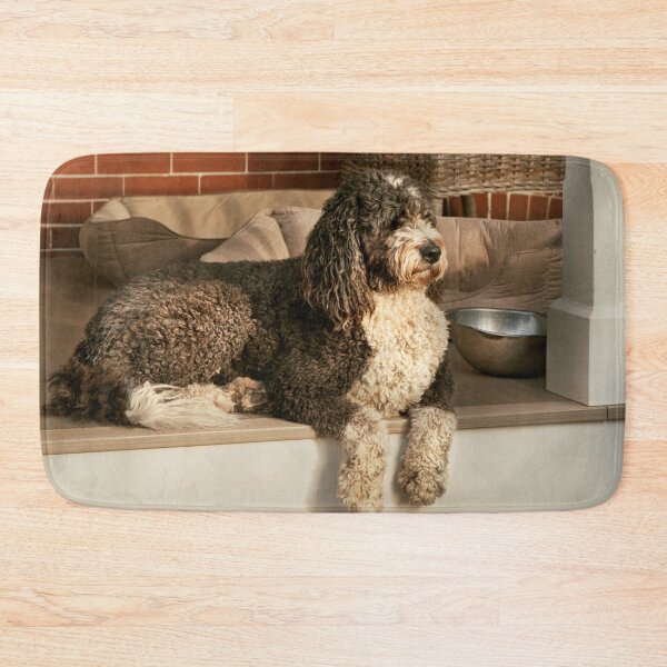 Item preview, Animal - Dog - Patiently Pawsing with a Fluffy Companion designed and sold by Mike Savad Photography.