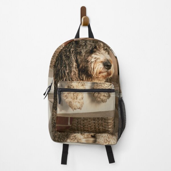 Item preview, Animal - Dog - Patiently Pawsing with a Fluffy Companion designed and sold by Mike Savad Photography.