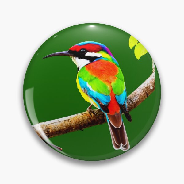 Item preview, Rainbow Bee Eater designed and sold by swiftbinaries.