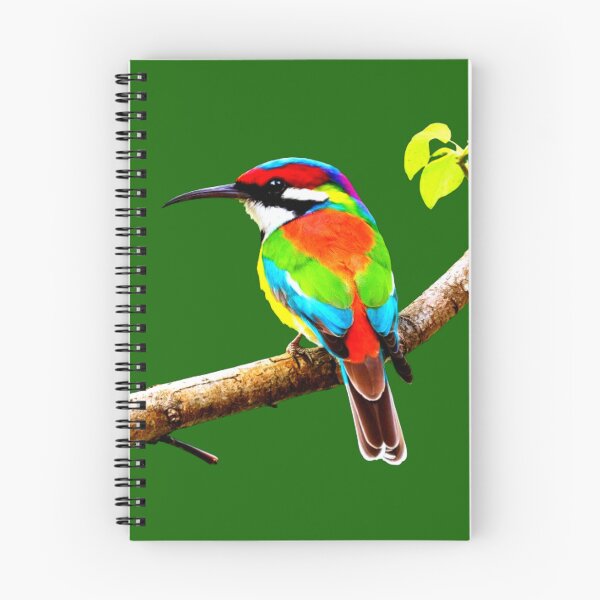 Item preview, Rainbow Bee Eater designed and sold by swiftbinaries.