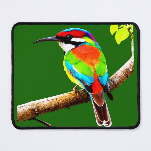 Item preview, Rainbow Bee Eater designed and sold by swiftbinaries.