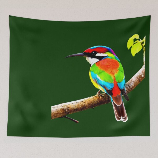 Item preview, Rainbow Bee Eater designed and sold by swiftbinaries.