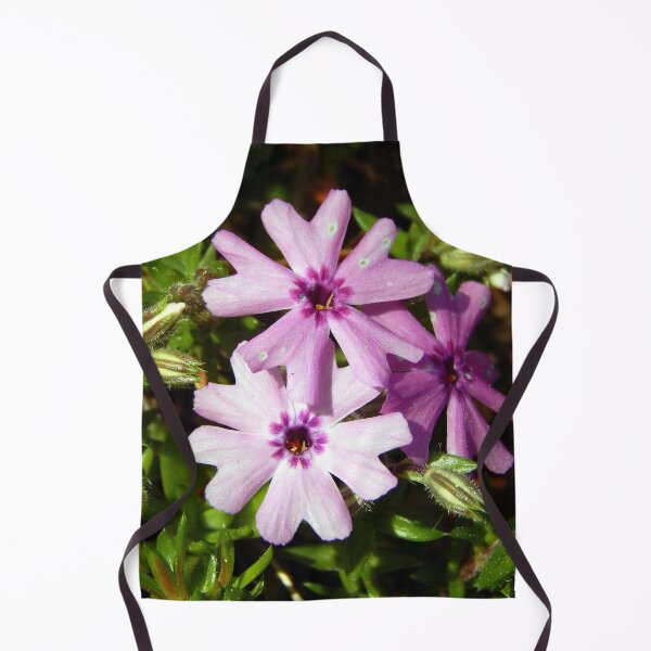 Aperçu de l'œuvre Phlox au pollen créée et vendue par gistinker.