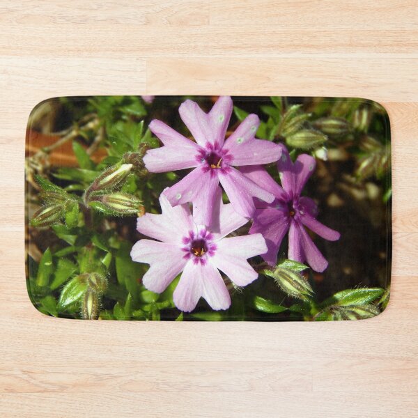 Artikelvorschau, Phlox mit Pollen entworfen und verkauft von gistinker.