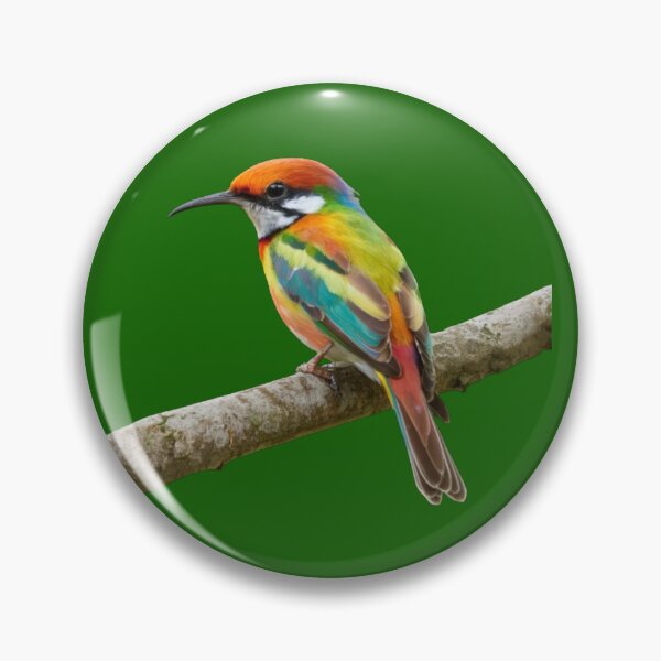 Item preview, Rainbow Bee Eater-Merops Ornatus designed and sold by swiftbinaries.
