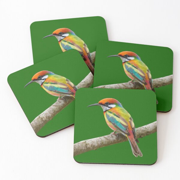 Item preview, Rainbow Bee Eater-Merops Ornatus designed and sold by swiftbinaries.