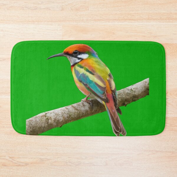 Item preview, Rainbow Bee Eater-Merops Ornatus designed and sold by swiftbinaries.