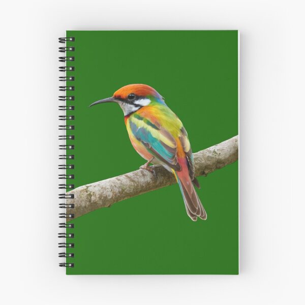 Item preview, Rainbow Bee Eater-Merops Ornatus designed and sold by swiftbinaries.