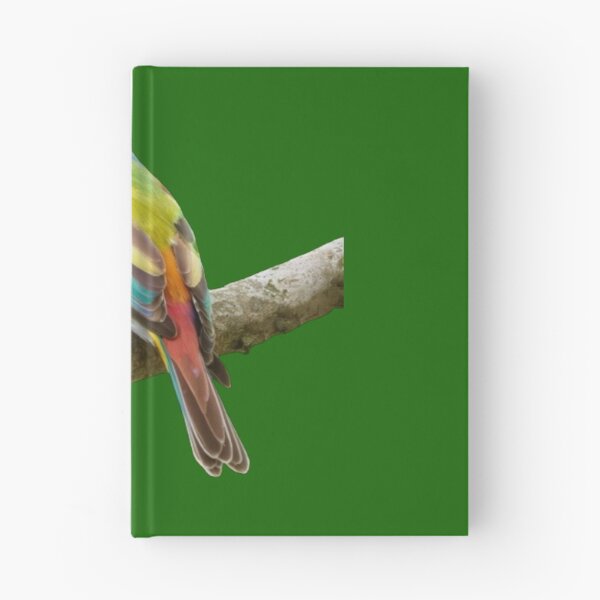 Item preview, Rainbow Bee Eater-Merops Ornatus designed and sold by swiftbinaries.
