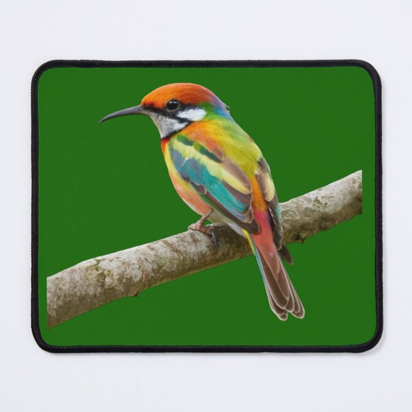Item preview, Rainbow Bee Eater-Merops Ornatus designed and sold by swiftbinaries.