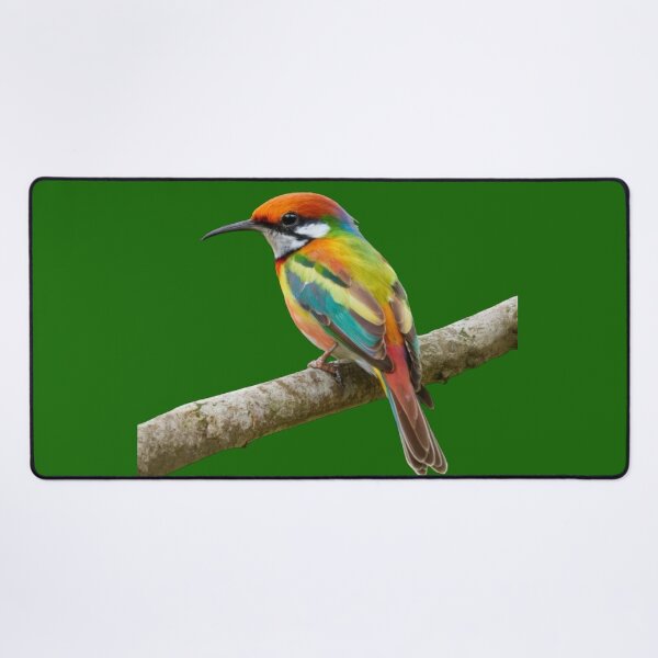 Item preview, Rainbow Bee Eater-Merops Ornatus designed and sold by swiftbinaries.