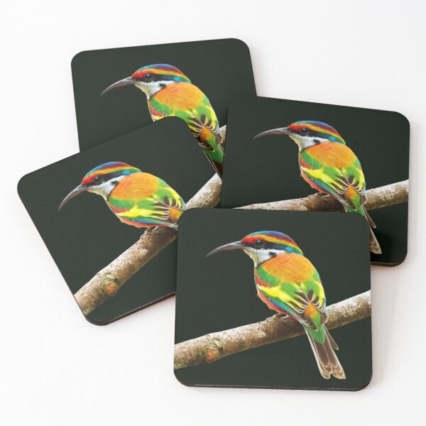 Item preview,  Merops Ornatus-Rainbow Bee Eater designed and sold by swiftbinaries.