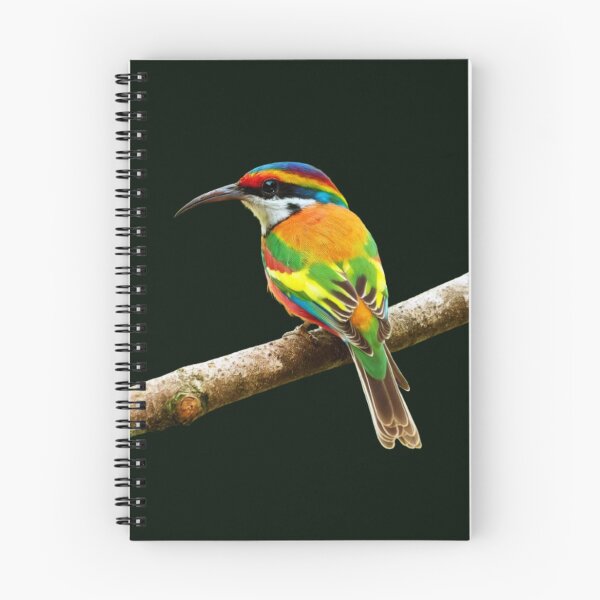 Item preview,  Merops Ornatus-Rainbow Bee Eater designed and sold by swiftbinaries.