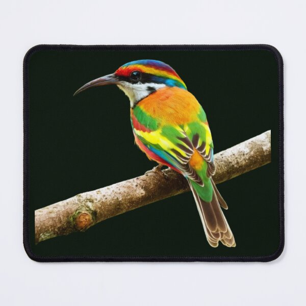 Item preview,  Merops Ornatus-Rainbow Bee Eater designed and sold by swiftbinaries.