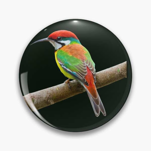 Item preview, Rainbow Bee Eater. designed and sold by swiftbinaries.
