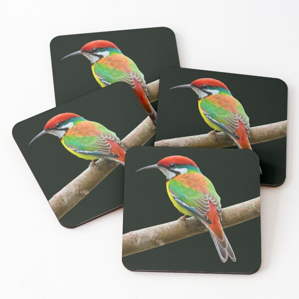 Item preview, Rainbow Bee Eater. designed and sold by swiftbinaries.