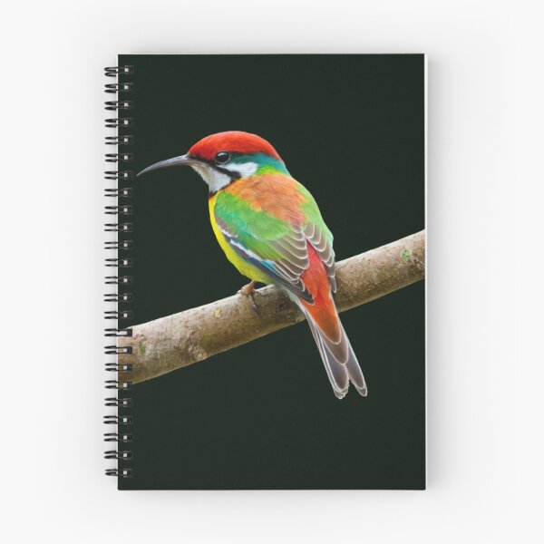 Item preview, Rainbow Bee Eater. designed and sold by swiftbinaries.