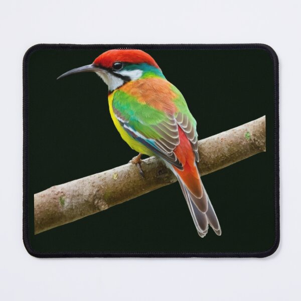 Item preview, Rainbow Bee Eater. designed and sold by swiftbinaries.
