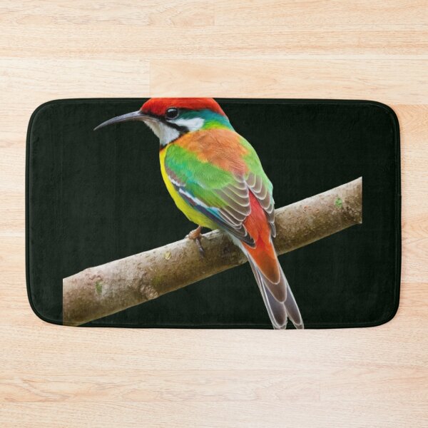 Item preview, Rainbow Bee Eater. designed and sold by swiftbinaries.