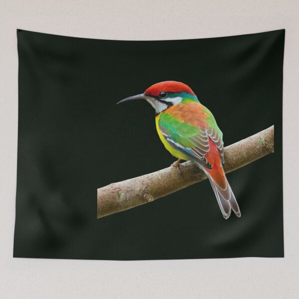 Item preview, Rainbow Bee Eater. designed and sold by swiftbinaries.