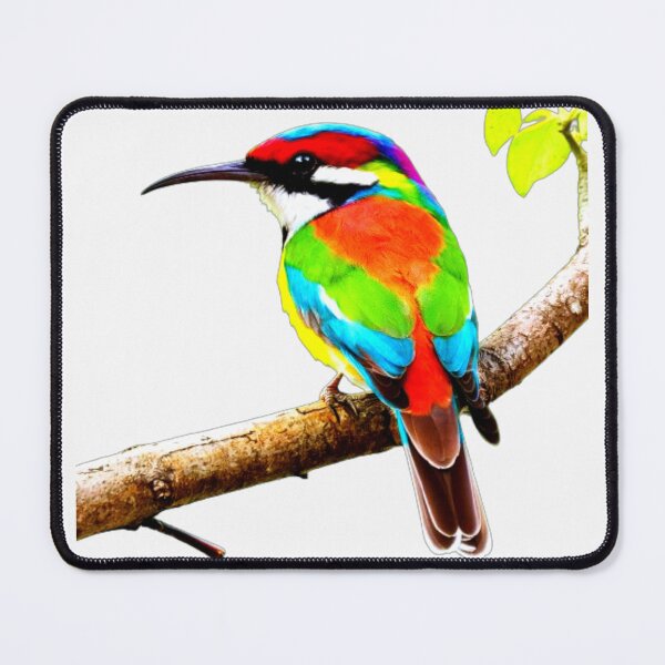 Item preview, merops ornatus designed and sold by swiftbinaries.