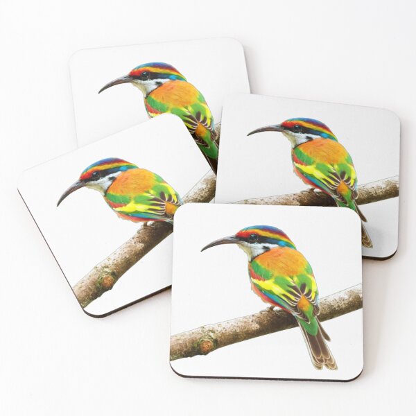 Item preview, merops ornatus. designed and sold by swiftbinaries.