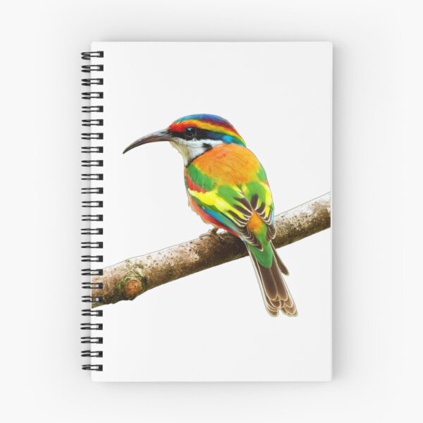 Item preview, merops ornatus. designed and sold by swiftbinaries.