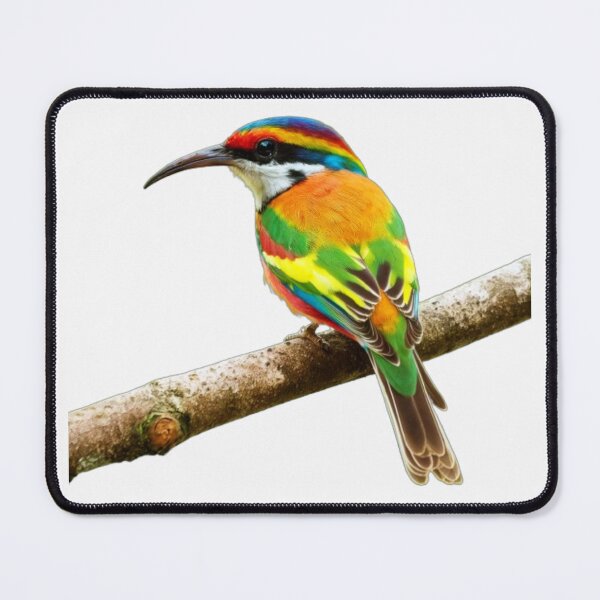 Item preview, merops ornatus. designed and sold by swiftbinaries.