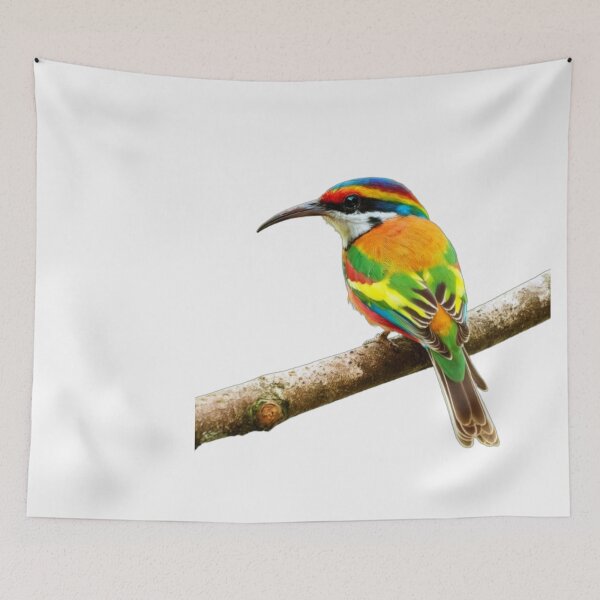 Item preview, merops ornatus. designed and sold by swiftbinaries.