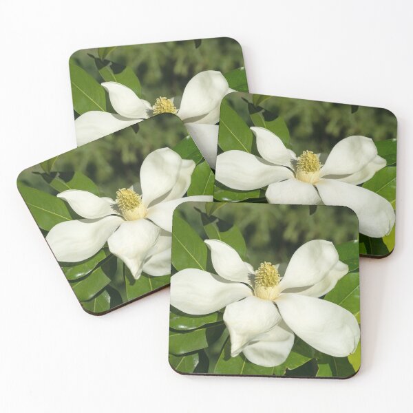 Item preview, Showy White Magnolia Bloom designed and sold by Georgia Mizuleva.