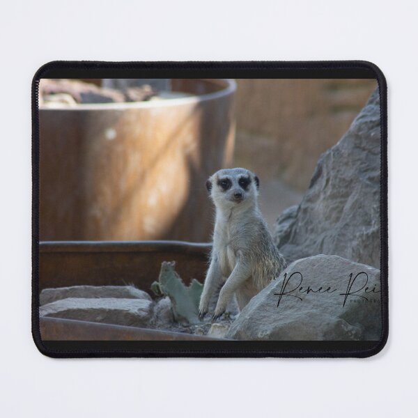 Item preview, Meerkat Taronga zoo 1 designed and sold by RREID84.