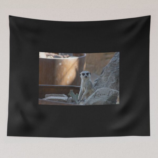 Item preview, Meerkat Taronga zoo 1 designed and sold by RREID84.