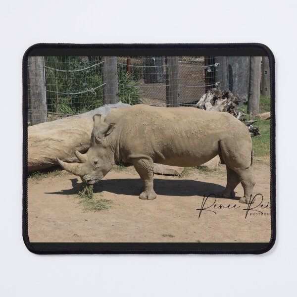 Item preview, Rhino Sydney Zoo 1 designed and sold by RREID84.