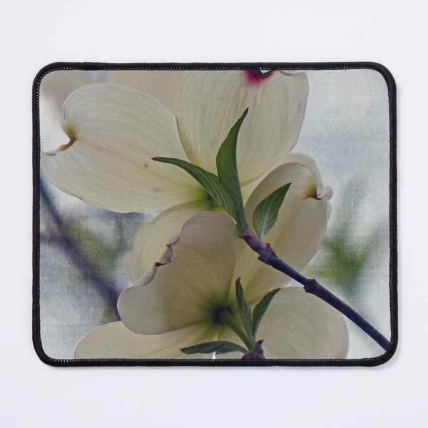 Item preview, Dogwood Flowers designed and sold by Frankie Cat Photography.