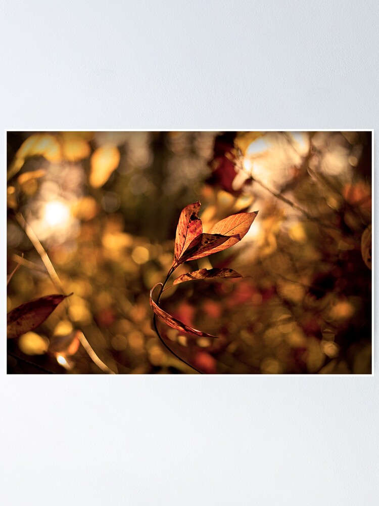 Thumbnail 1 of 3, Poster, Leaves in the Wind designed and sold by believer9.