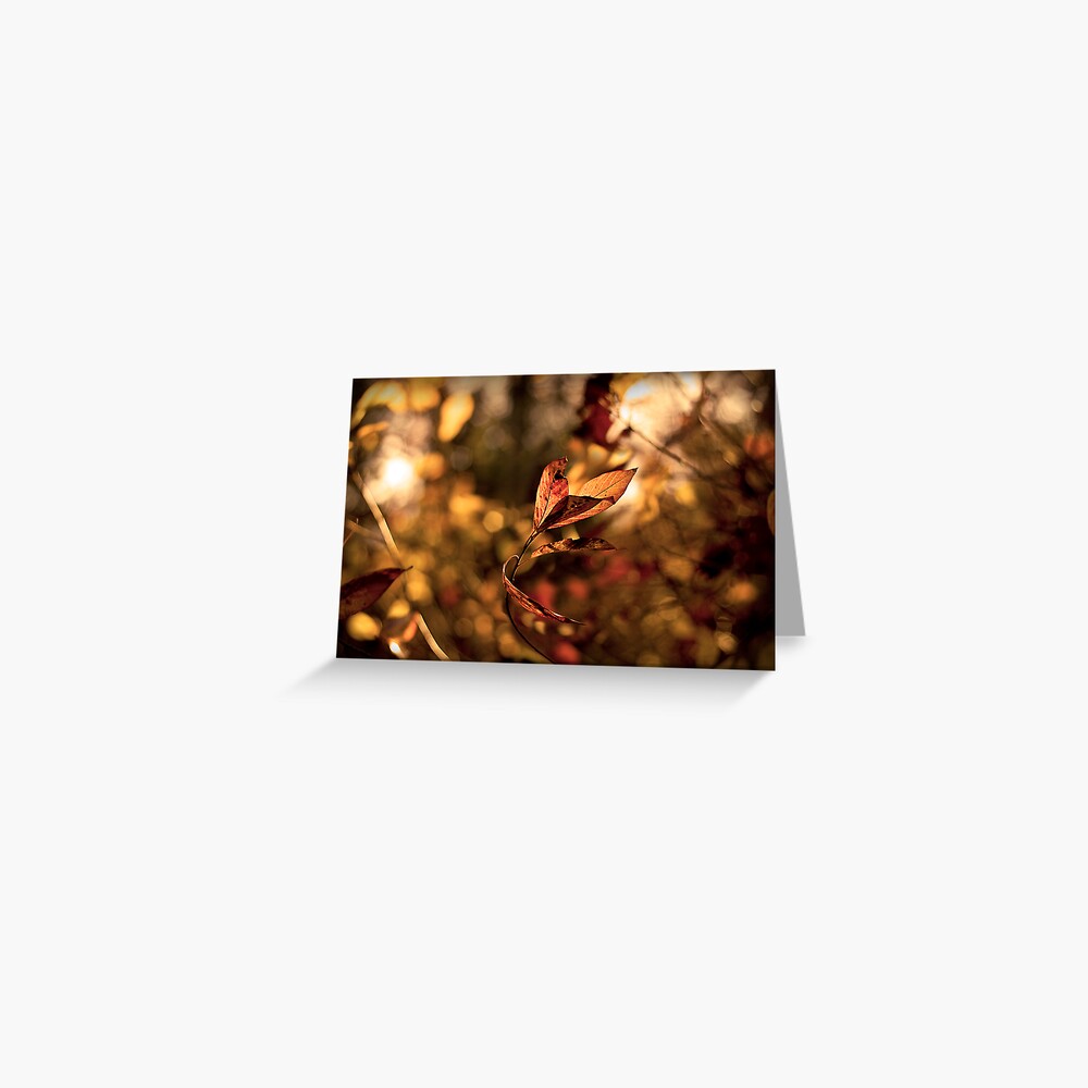 Item preview, Greeting Card designed and sold by believer9.