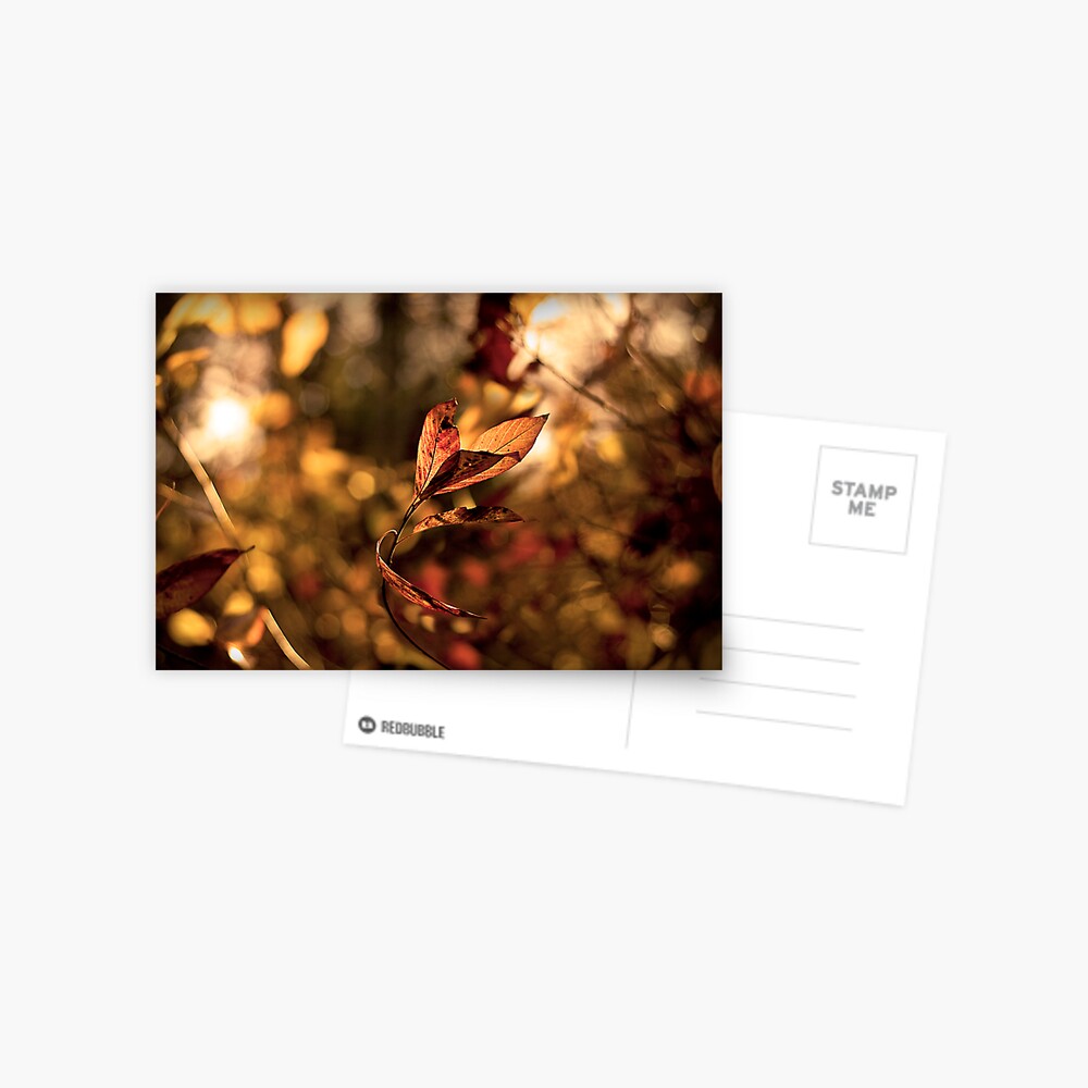 Item preview, Postcard designed and sold by believer9.
