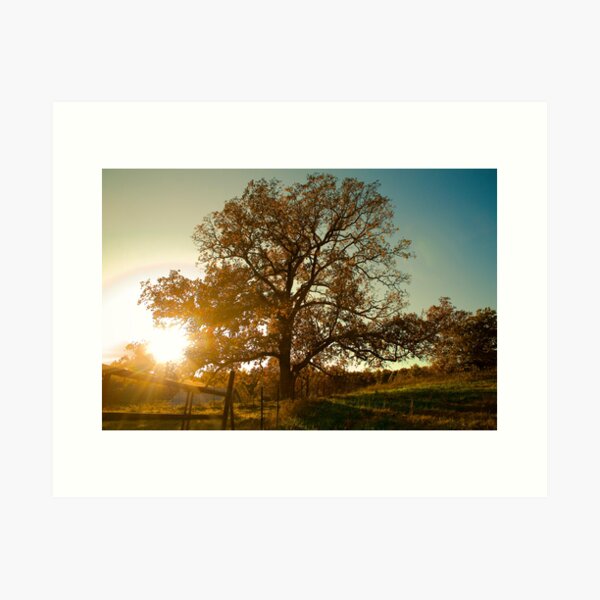 The Other Side of the Fence Art Print