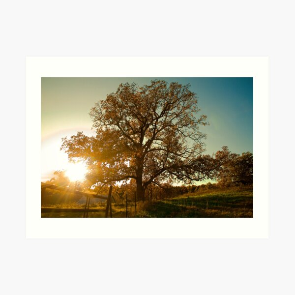 The Other Side of the Fence Art Print