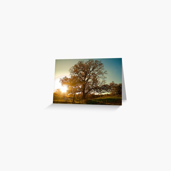 The Other Side of the Fence Greeting Card