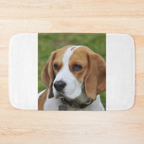 Item preview, Beagle Dog Observing designed and sold by VanGaldo.