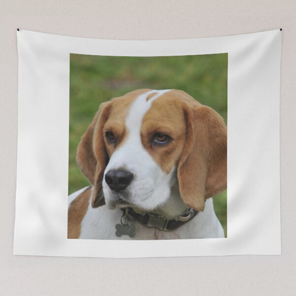 Item preview, Beagle Dog Observing designed and sold by VanGaldo.