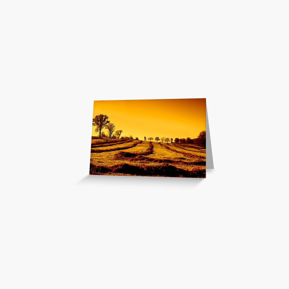 Item preview, Greeting Card designed and sold by believer9.