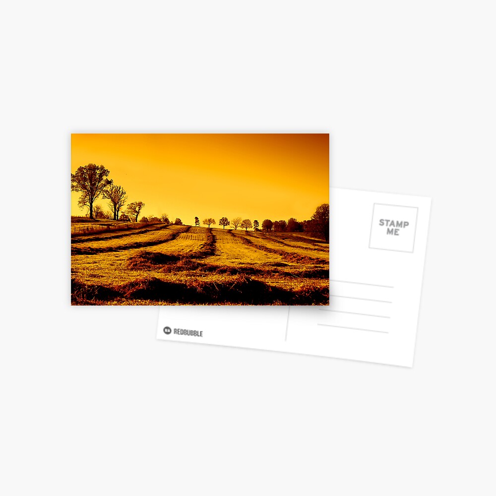 Item preview, Postcard designed and sold by believer9.