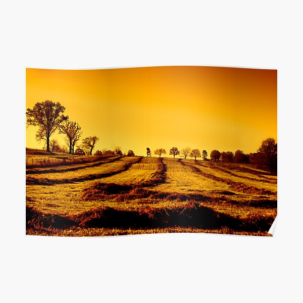 Golden Fields Poster