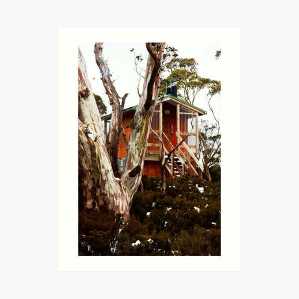 Waterfall Valley Hut, Overland Track, Tasmania Art Print