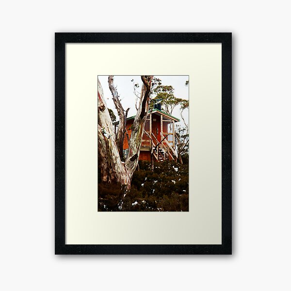 Waterfall Valley Hut, Overland Track, Tasmania Framed Art Print