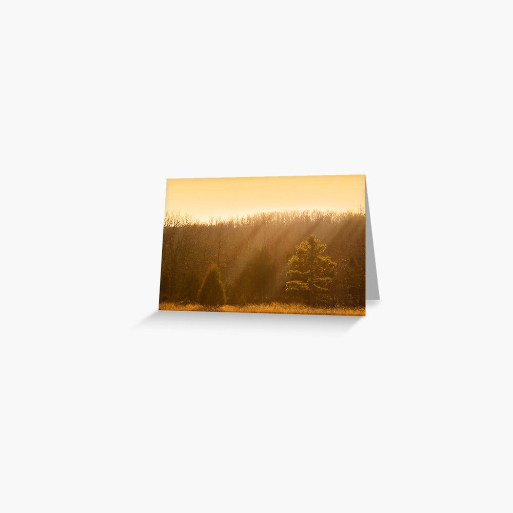 Item preview, Greeting Card designed and sold by believer9.