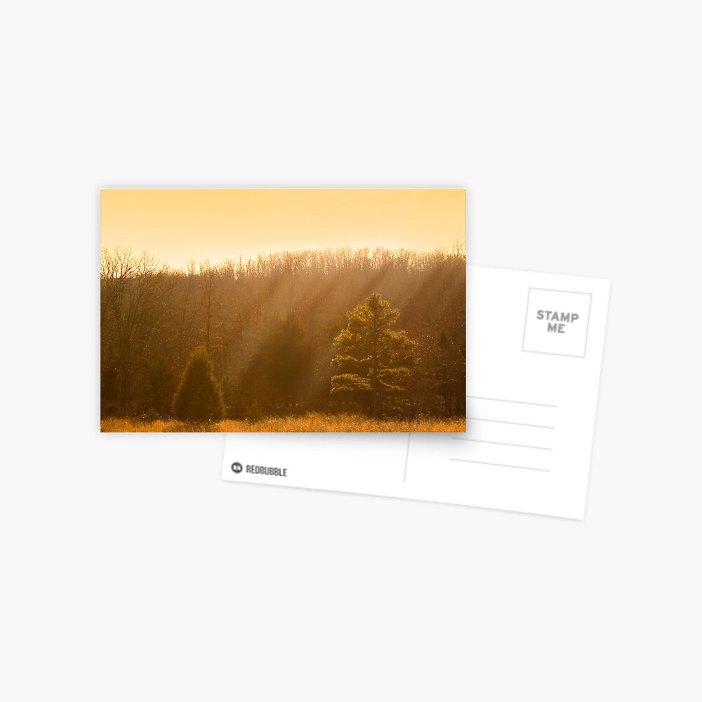 Item preview, Postcard designed and sold by believer9.
