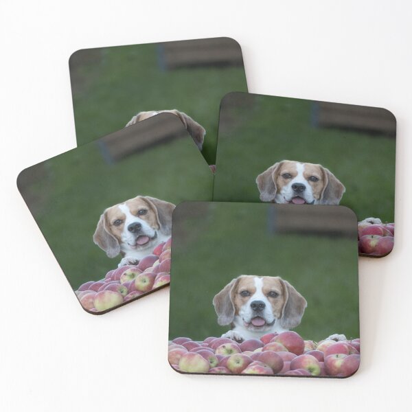 Item preview, Beagle Dog Guarding Apples designed and sold by VanGaldo.